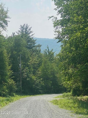 ROBINSON HOLLOW WAY, STEPHENTOWN, NY 12168 - Image 3c3e615cf73bc1bb4a0896ebf536f184/3046111406