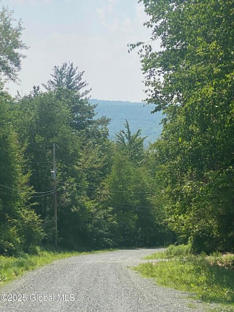 Vacant Land For Sale - L20.44 Robinson Hollow Way<br/> Stephentown, NY 12168