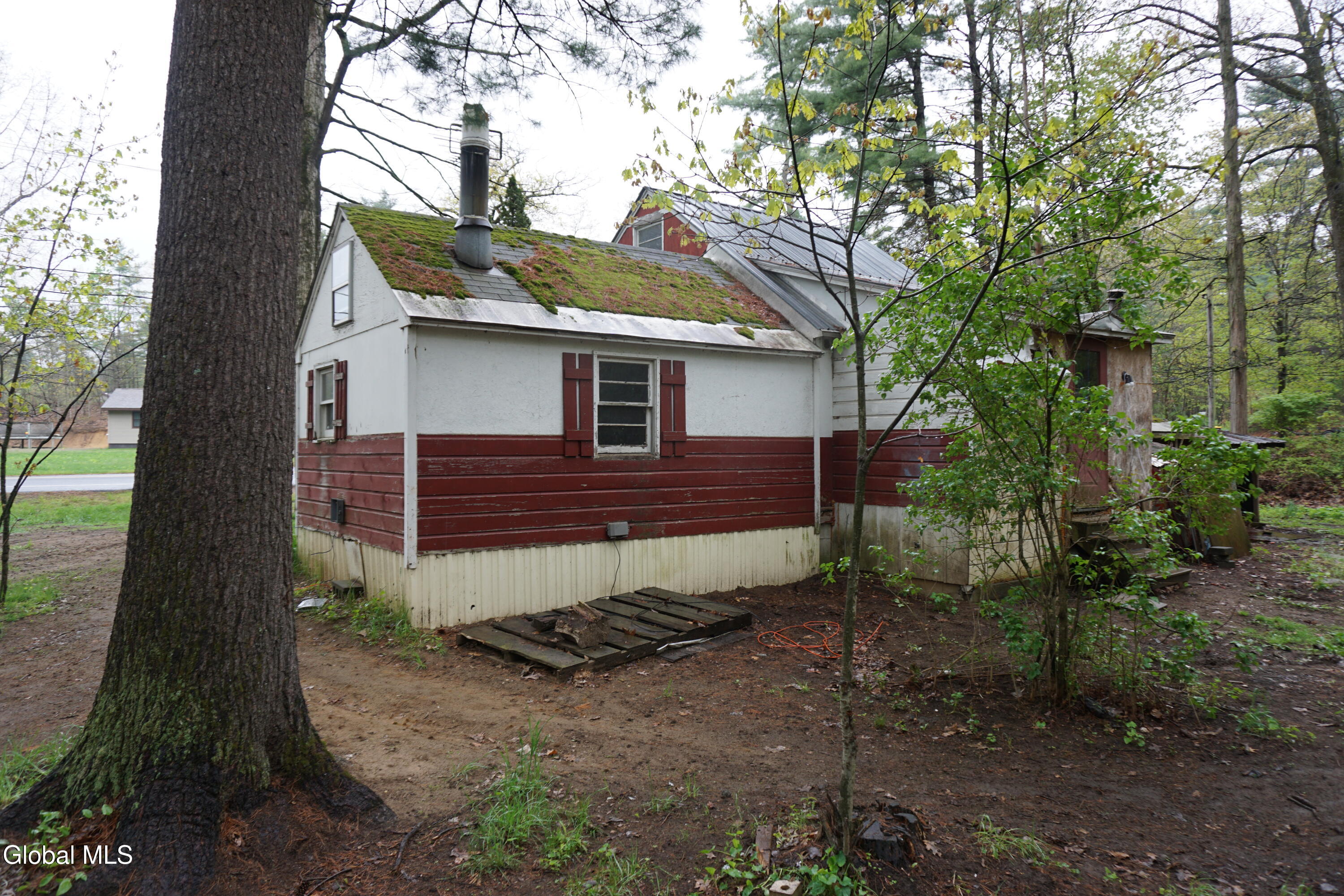 8 Scout Road