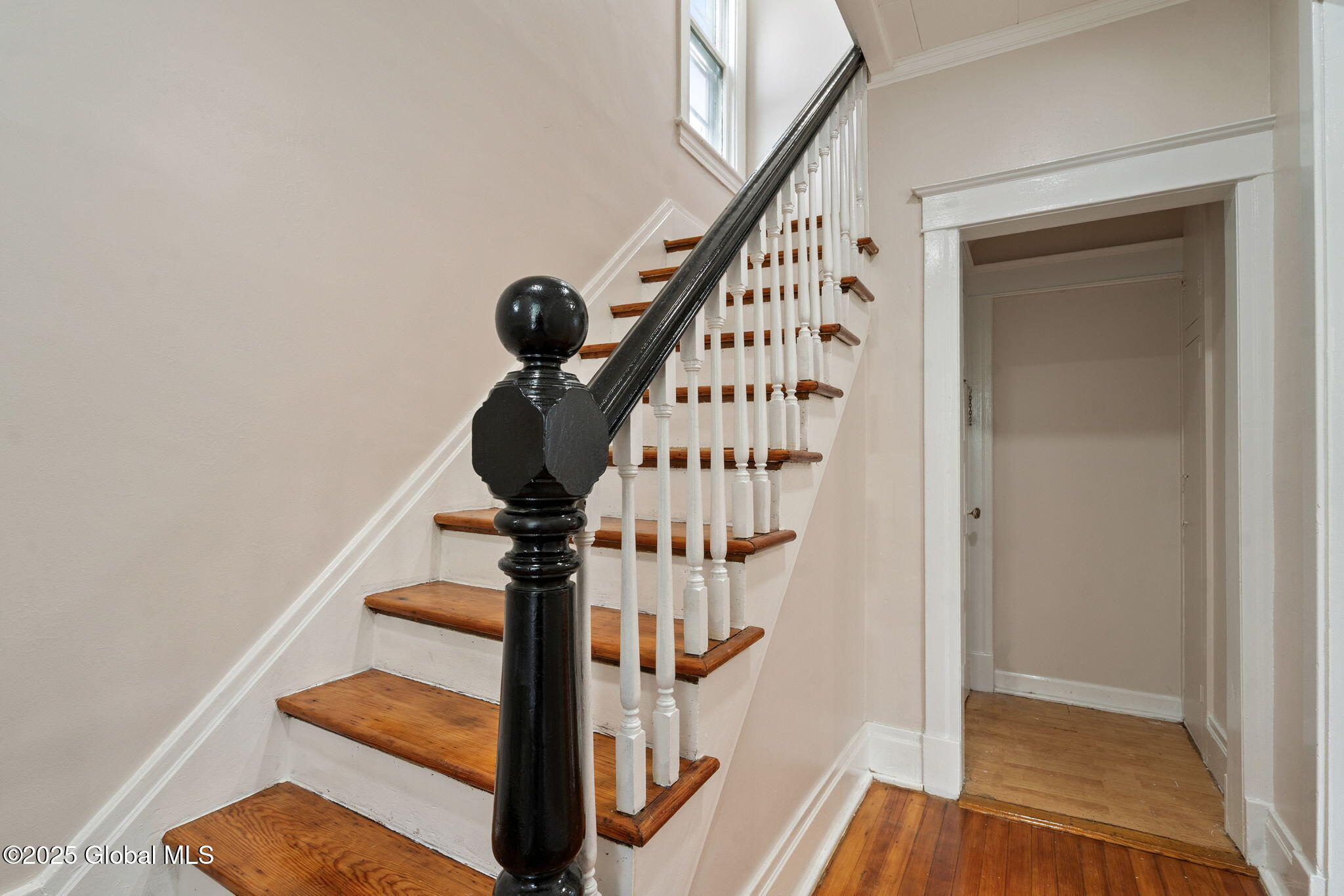 18 Bertha Street, Albany, New York image 4