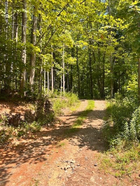 Photo of L7.41 Summit Lake Road, Argyle, NY 12809 (MLS # 202530414)