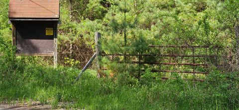 Photo of L 58.3 Howe Road, Greenfield Center, NY 12833 (MLS # 202617676)