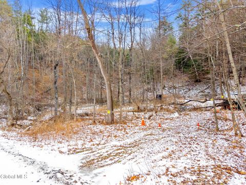 Photo of L4 Flat Creek Road, Gilboa, NY 12076 (MLS # 202610939)