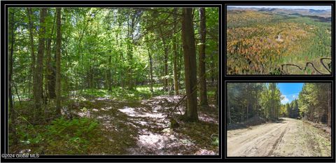 Vacant Land For Sale - 98 Carriage Knoll Road<br/> Chestertown, NY 12817
