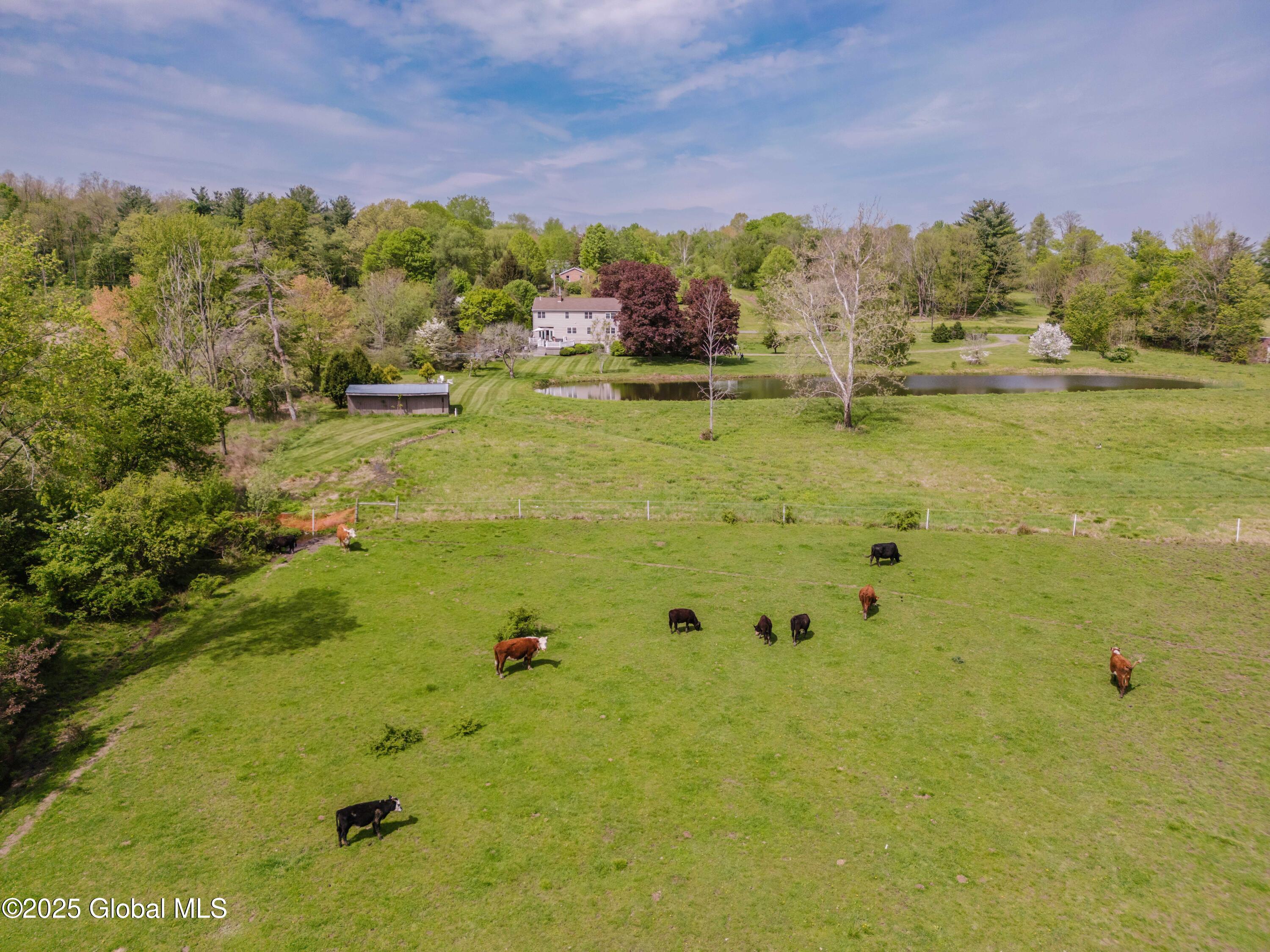 2548 State Route 203, Valatie, New York image 5