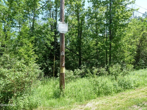 Vacant Land For Sale - L14 Berry Lane<br/> Hunter, NY 12442