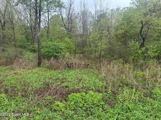 144 FACTORY HOLLOW RD, VALLEY FALLS, NY 12185 - Image 3fb5d16c8d5f9daa767321f0e0e60809/2563690387