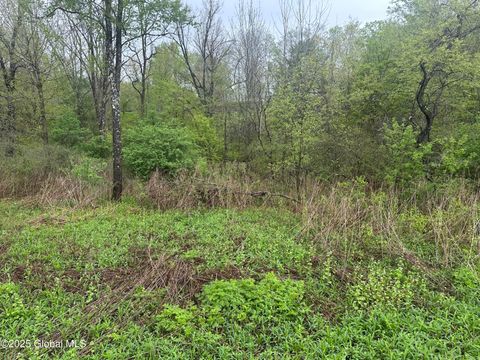 Vacant Land For Sale - 144 Factory Hollow Road<br/> Valley Falls, NY 12185