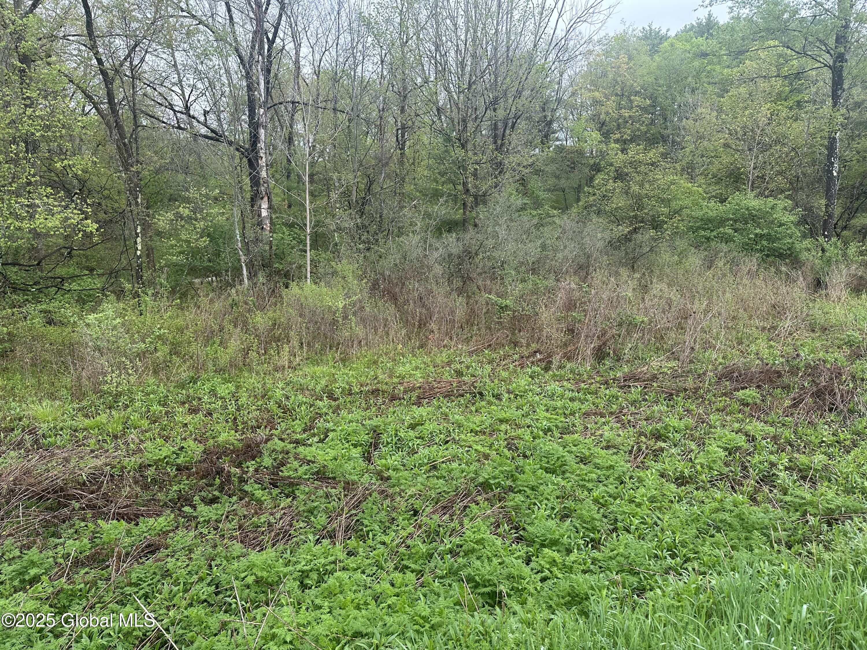 144 Factory Hollow Road, Valley Falls, New York image 2