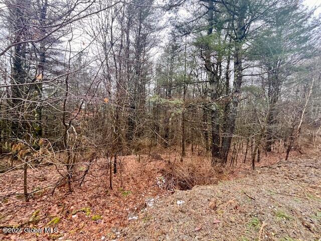 L67 Old Ghost Road #LOT 6, Canaan, New York image 11