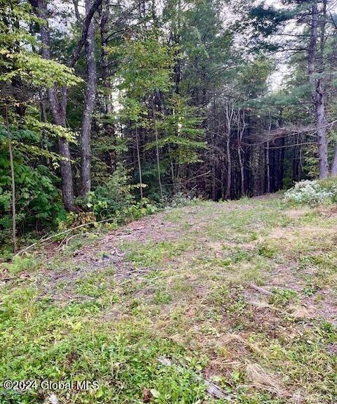 L67 Old Ghost Road #LOT 6, Canaan, New York image 2