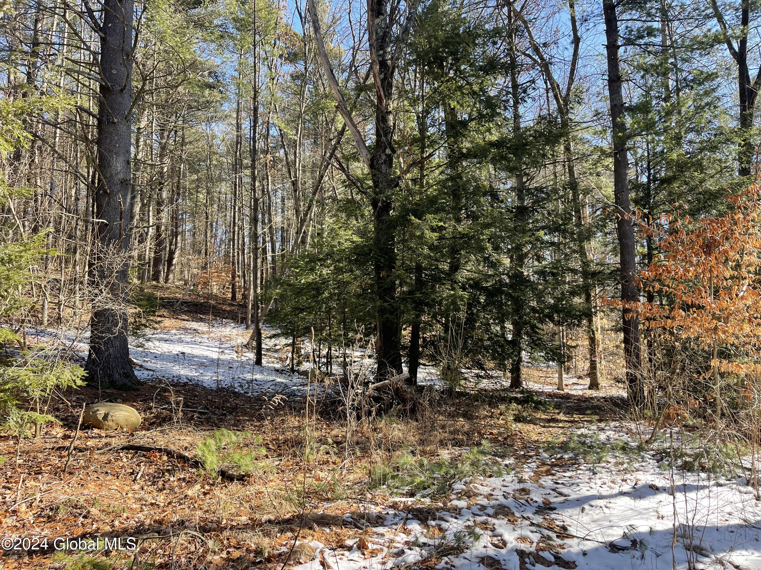 4 Carey Road, Lake George, New York image 7