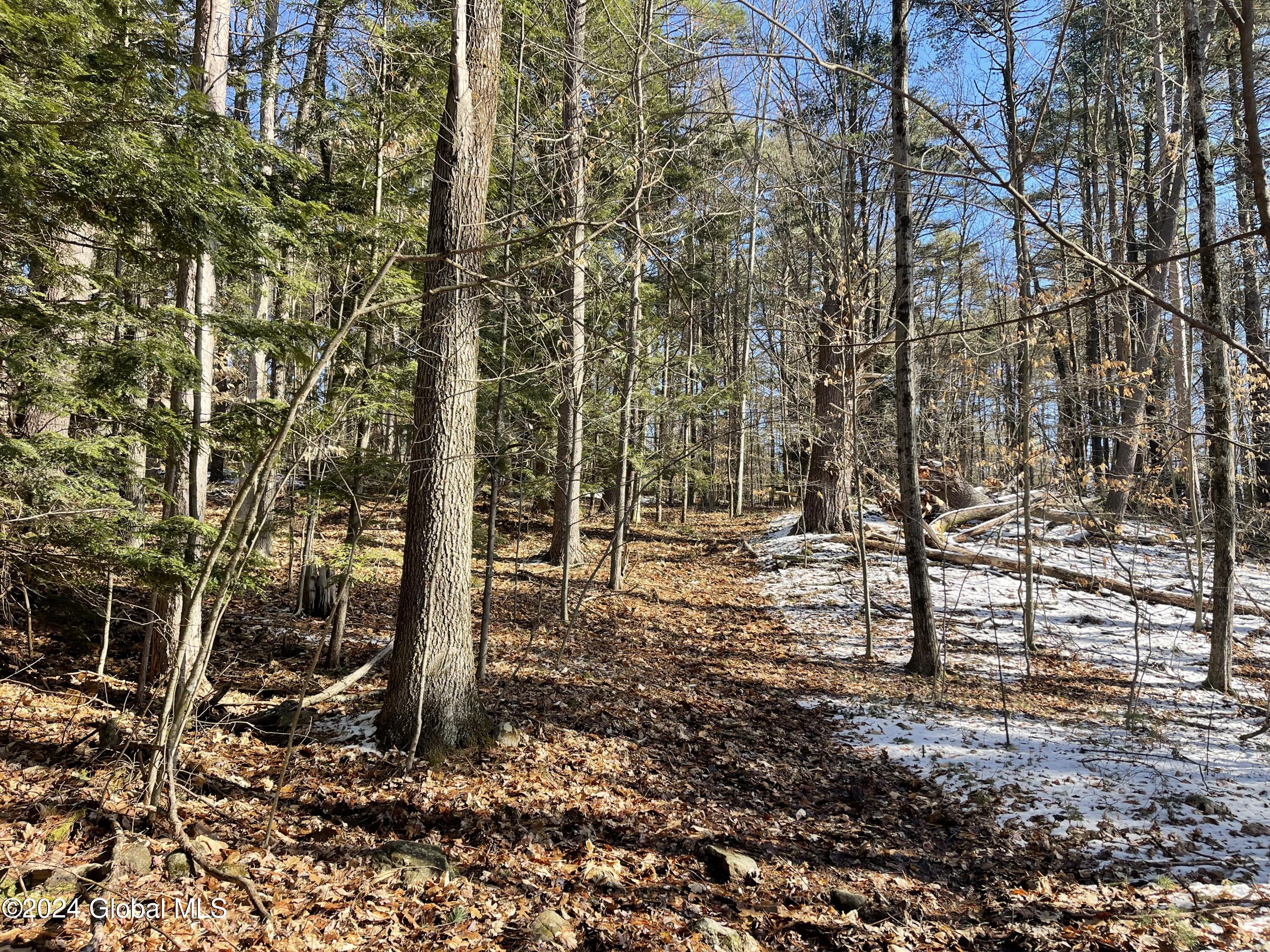 4 Carey Road, Lake George, New York image 8