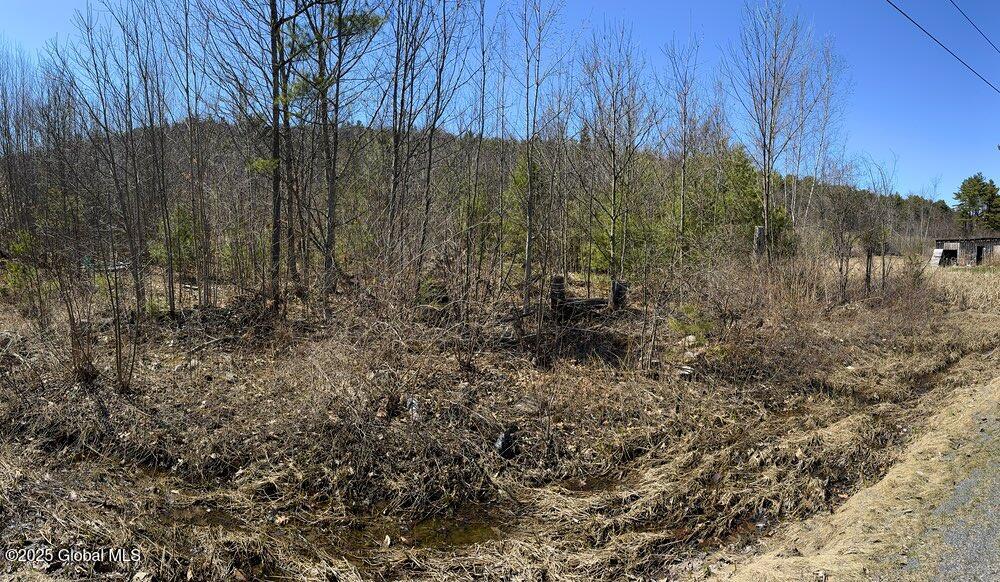 L37.100 Moss Road, Lewis, New York image 3