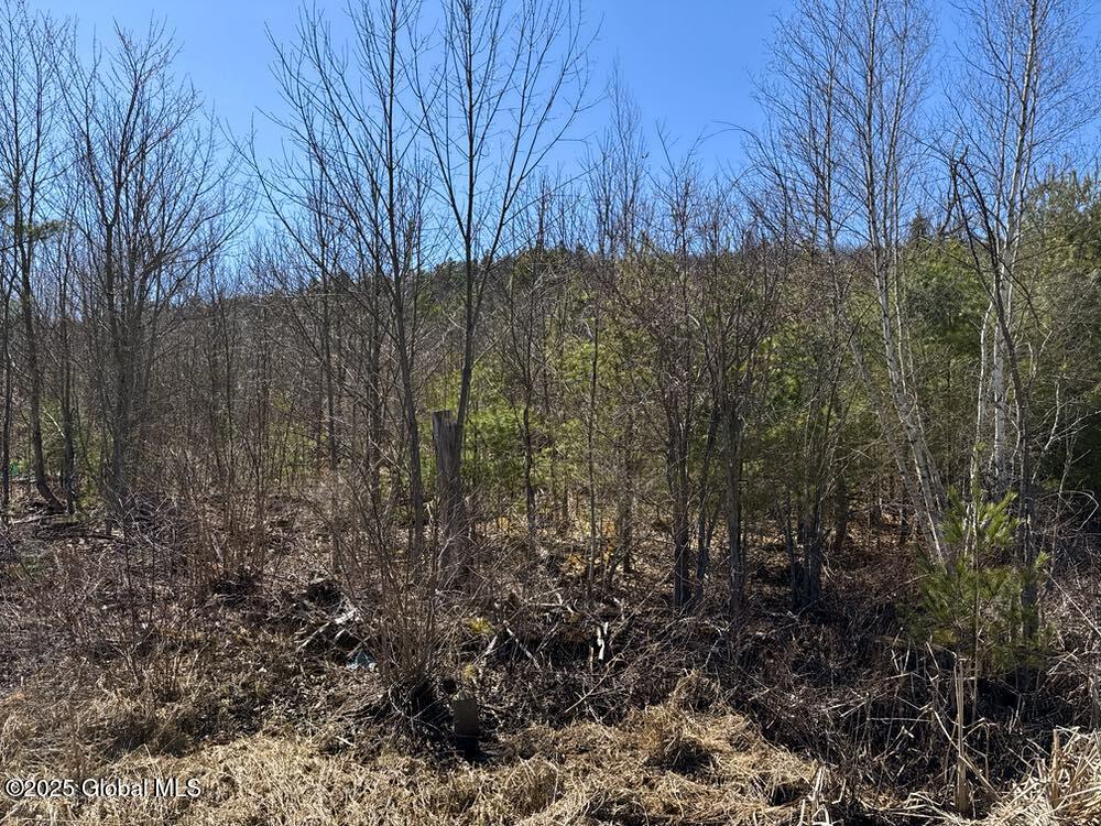 L37.100 Moss Road, Lewis, New York image 1