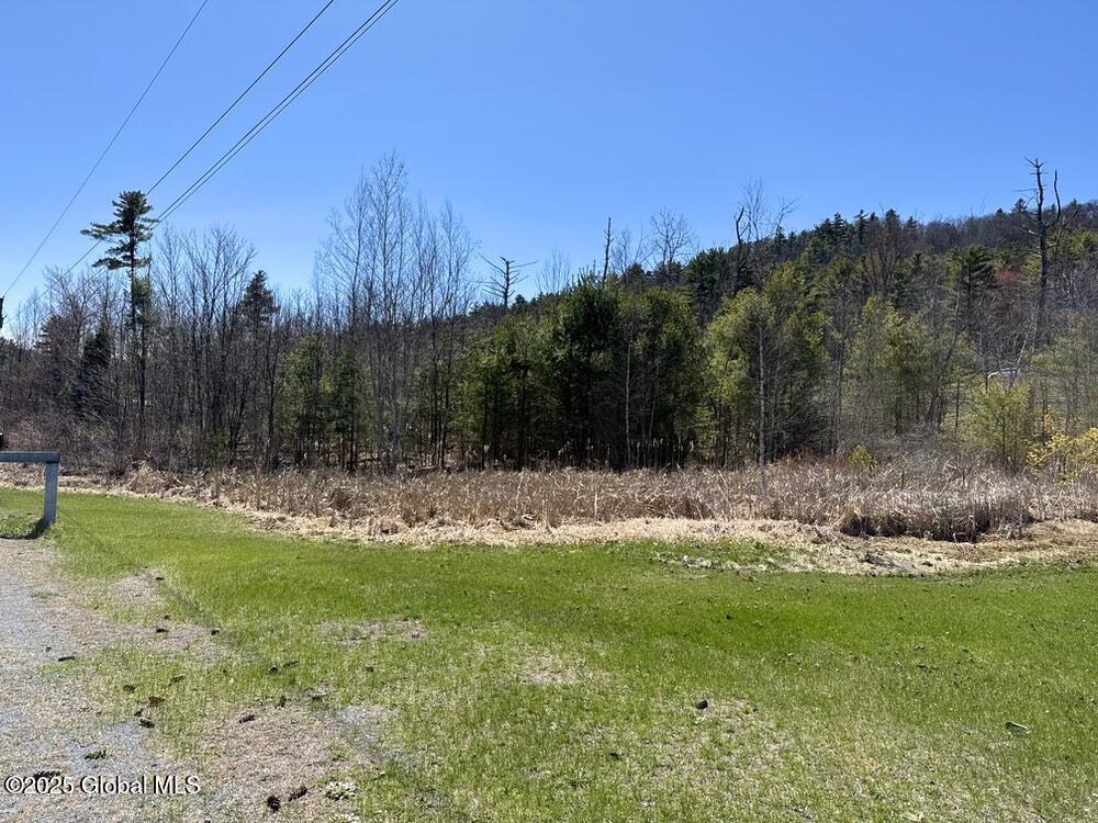 L37.100 Moss Road, Lewis, New York image 4