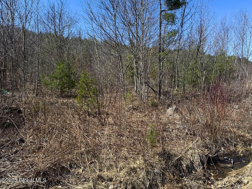 L37.100 Moss Road, Lewis, New York image 2