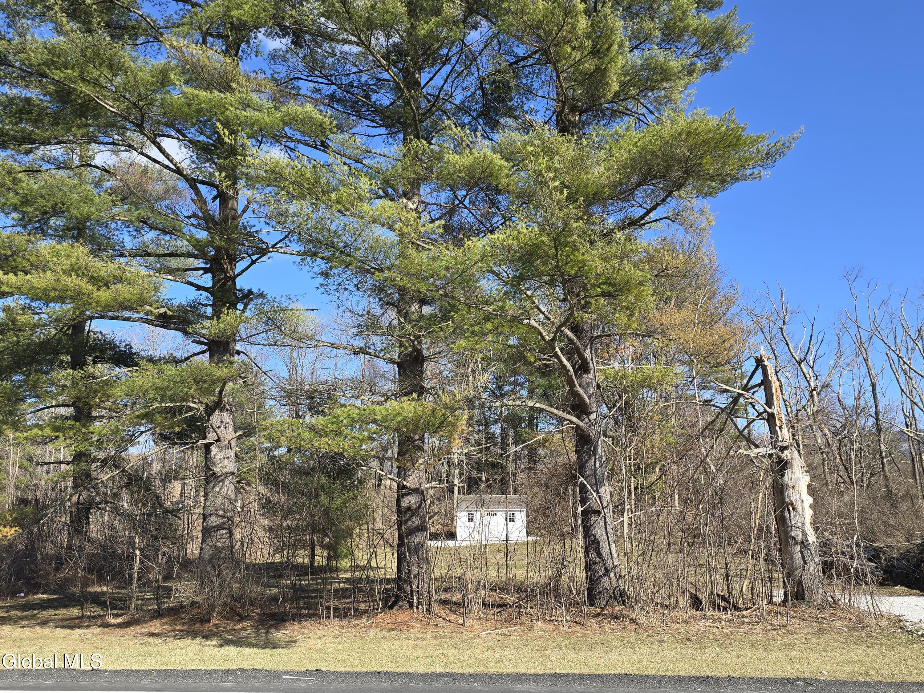 1460 Cold Spring Road