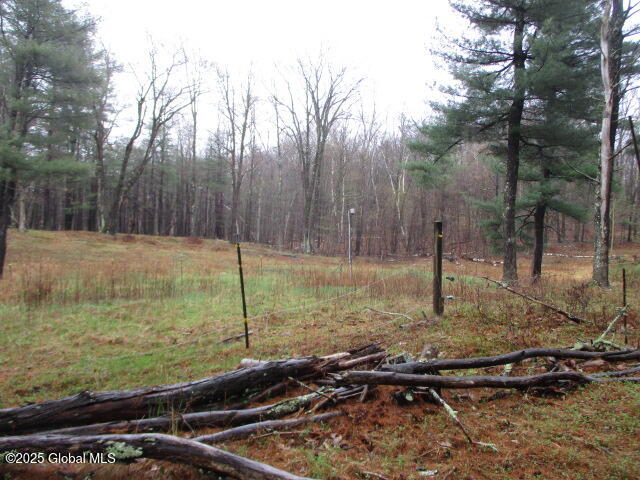 516 Mashodack Road, Nassau, New York image 12