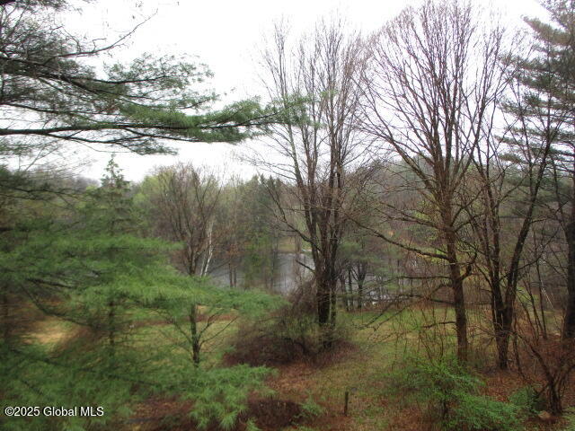 516 Mashodack Road, Nassau, New York image 23