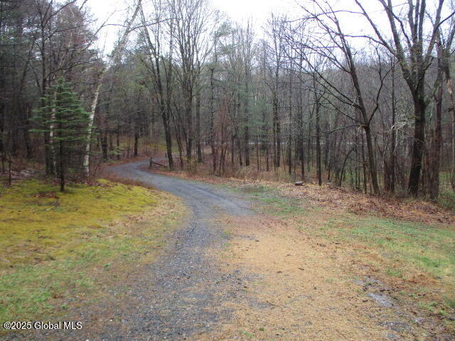 516 Mashodack Road, Nassau, New York image 28