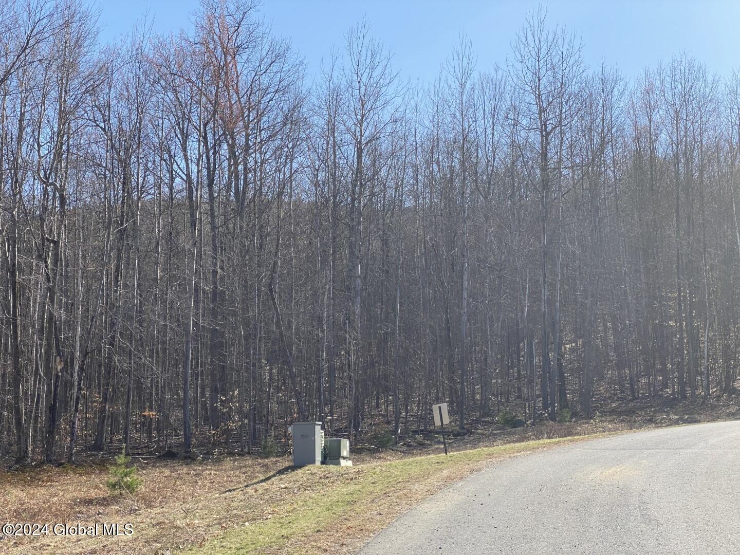 101 Watershed Drive, Lake George, New York image 9