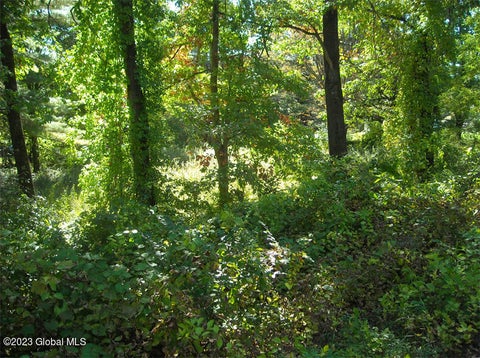 Photo for L41 Mud Pond Road