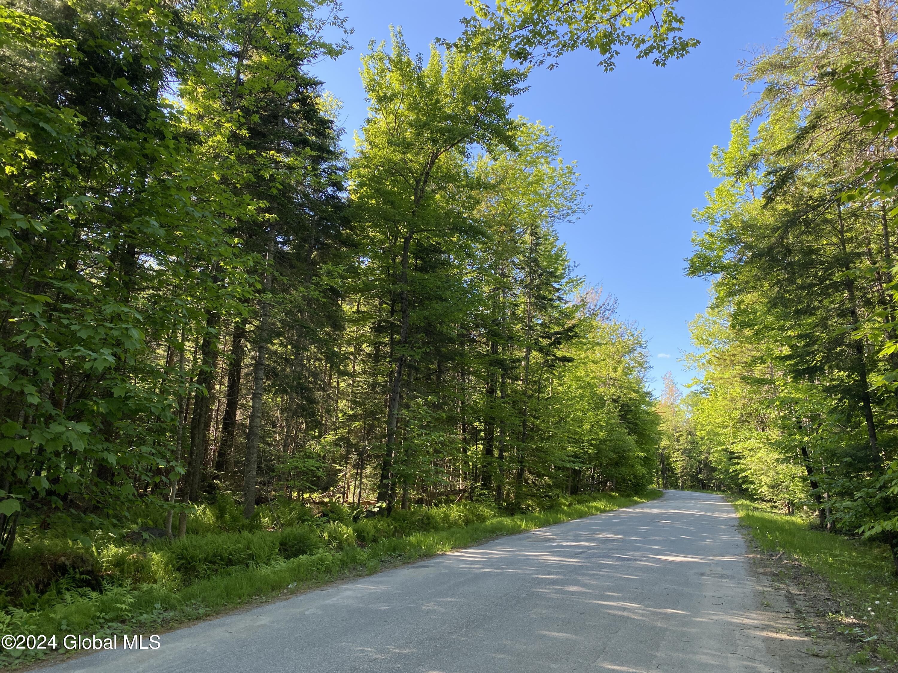 L40 Loch Muller Road, Schroon Lake, New York image 1