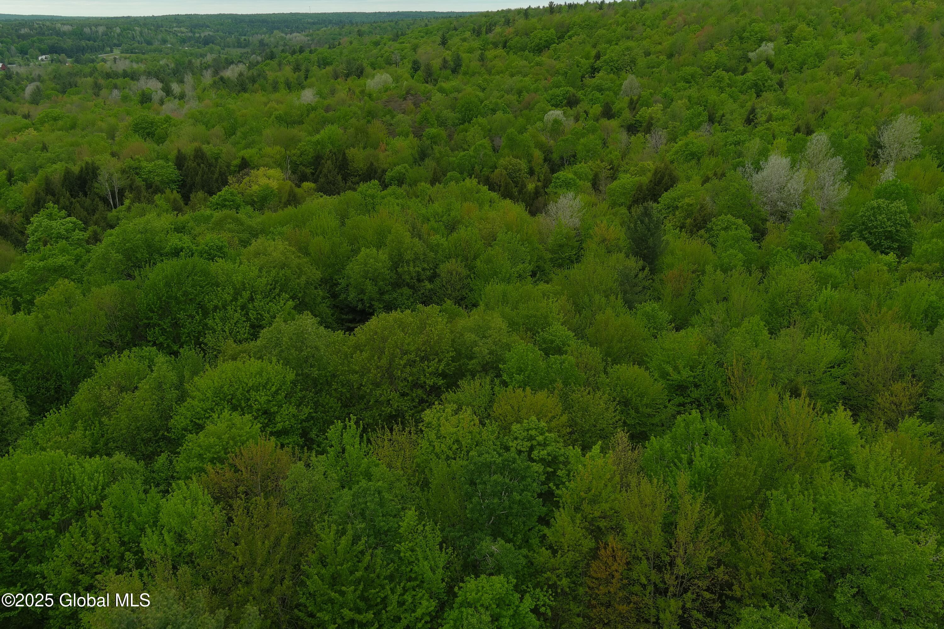 75 Mackin Road, Russell, New York image 32