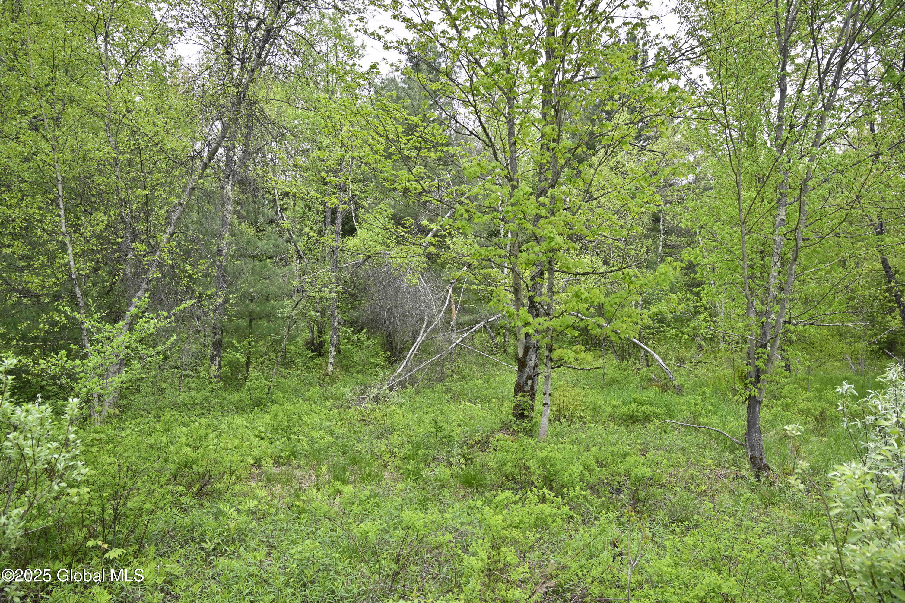75 Mackin Road, Russell, New York image 20