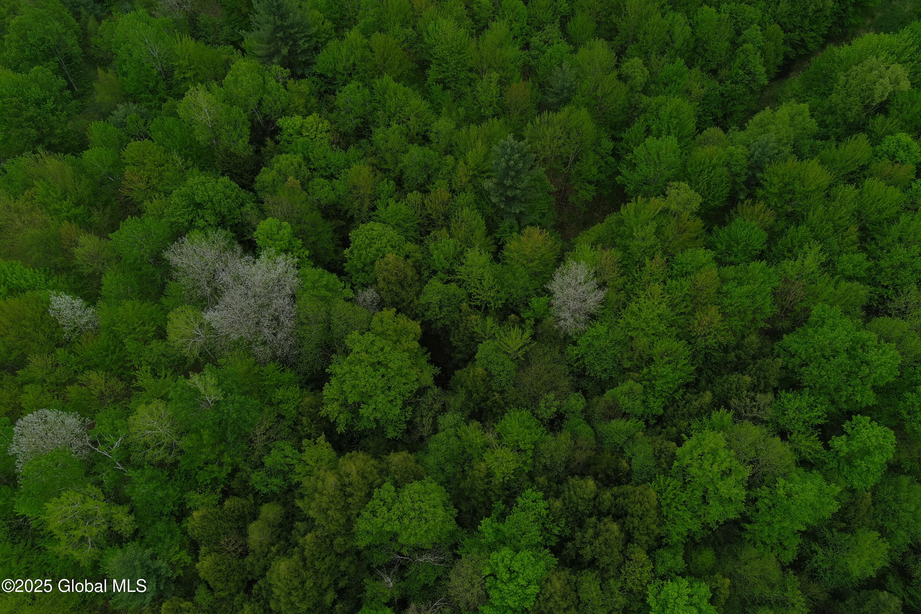 75 Mackin Road, Russell, New York image 30