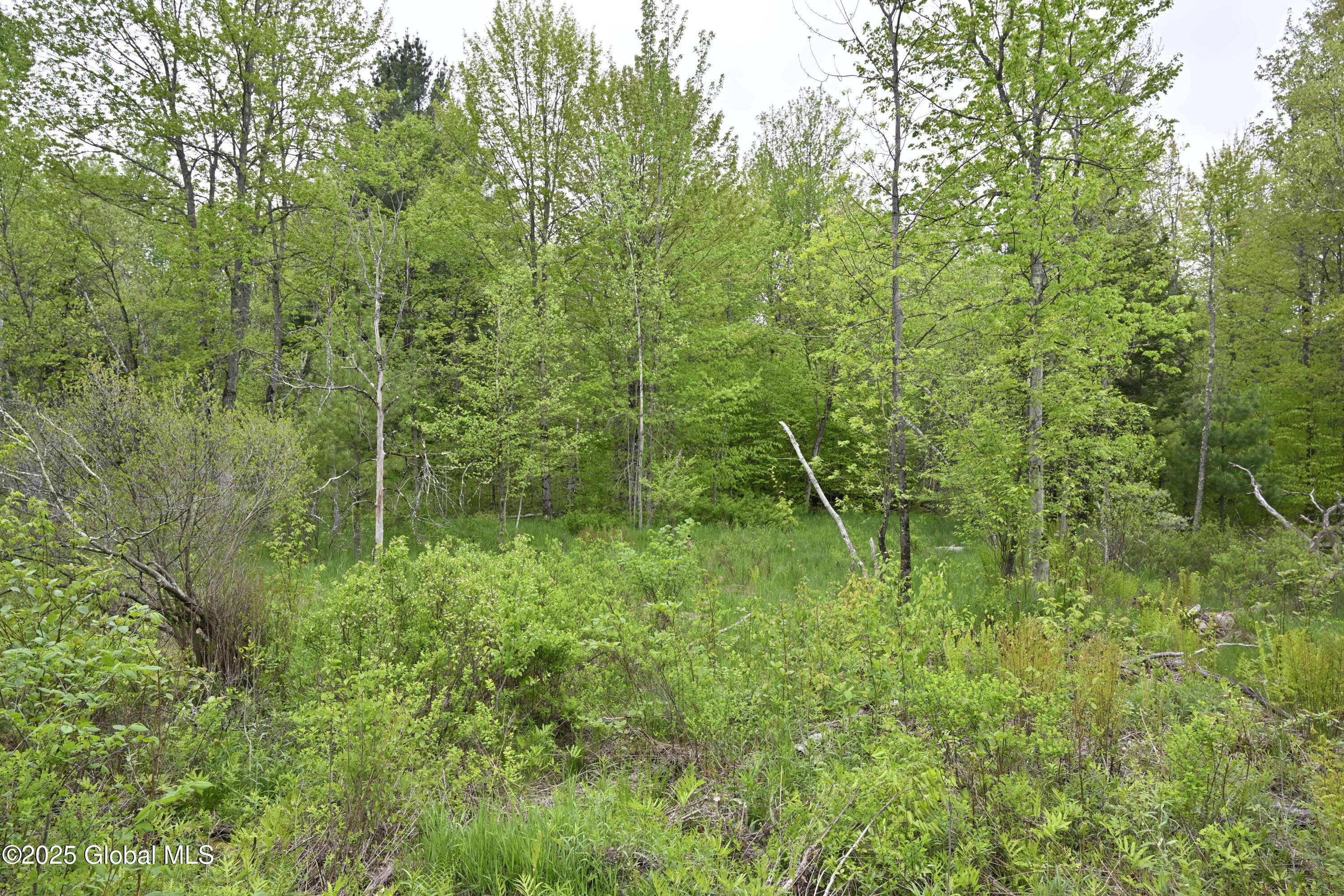 75 Mackin Road, Russell, New York image 13