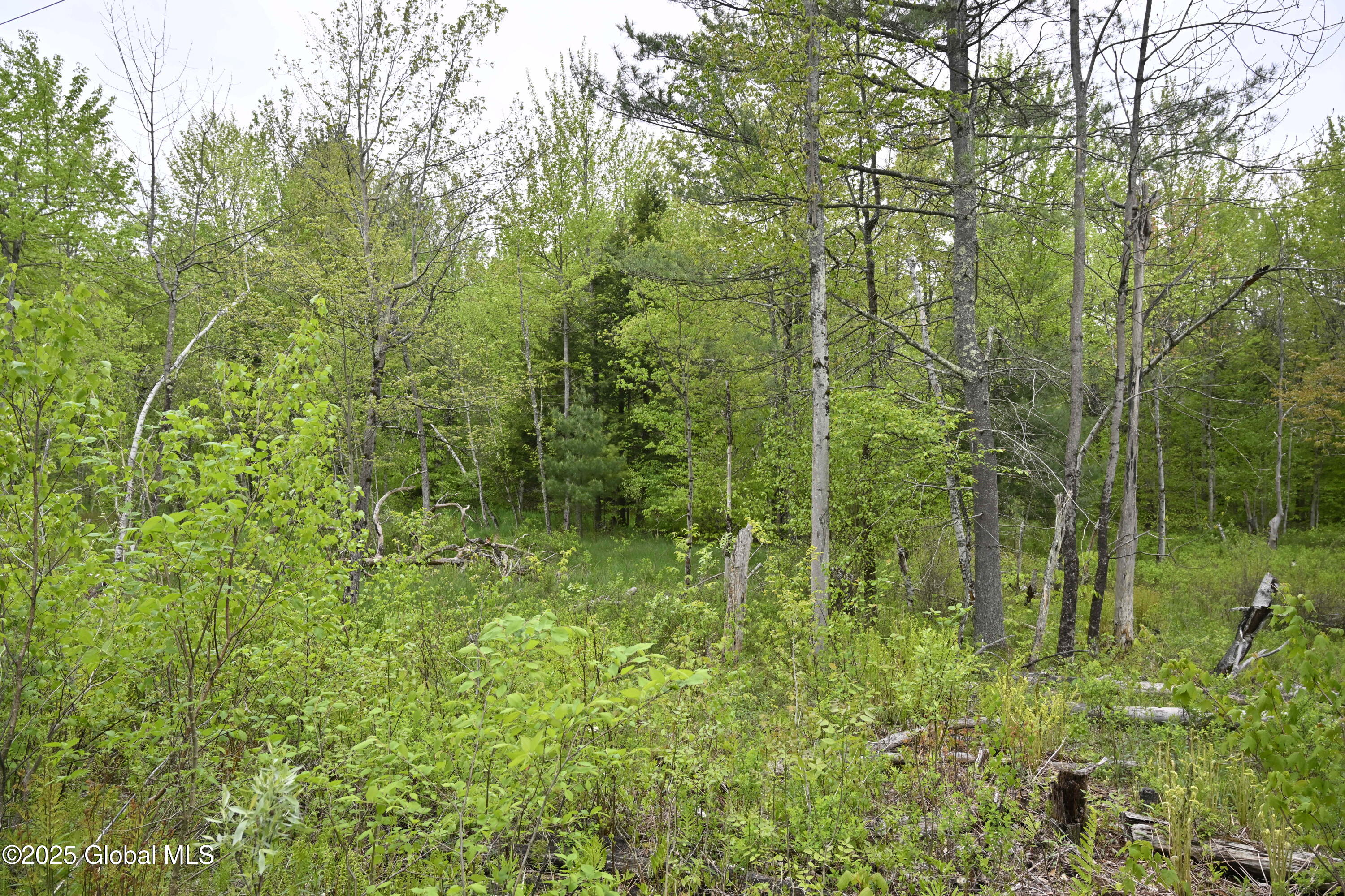 75 Mackin Road, Russell, New York image 8