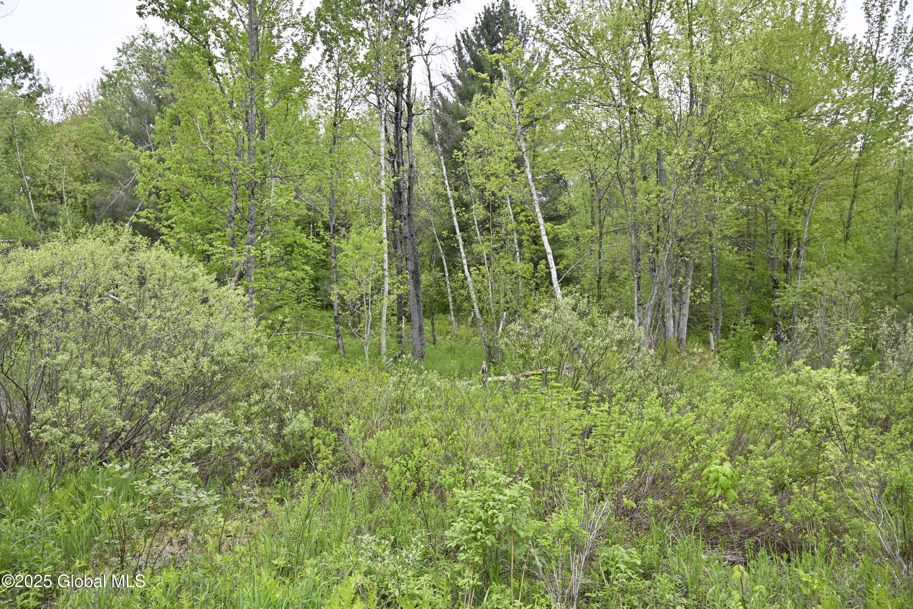 75 Mackin Road, Russell, New York image 16