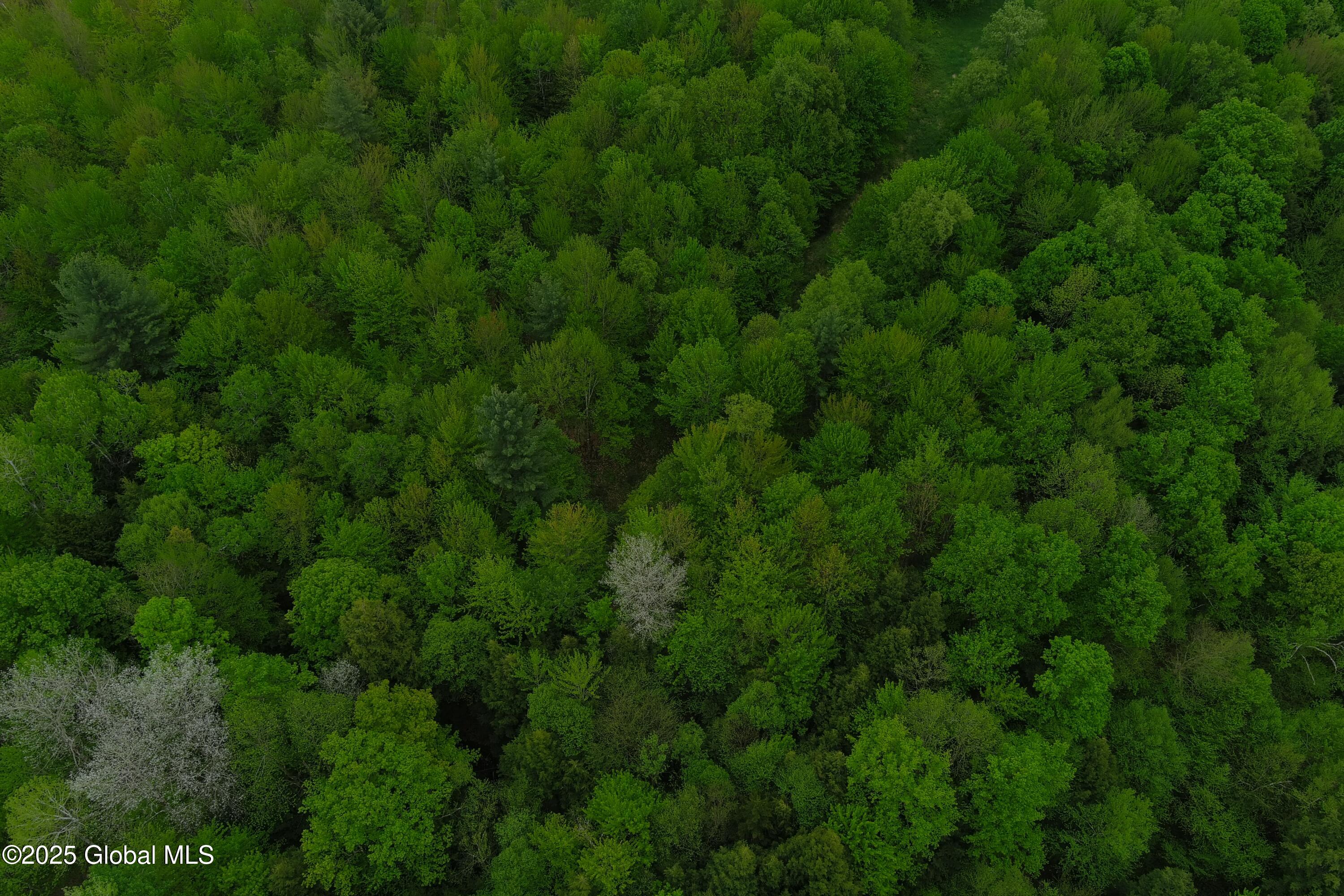 75 Mackin Road, Russell, New York image 31