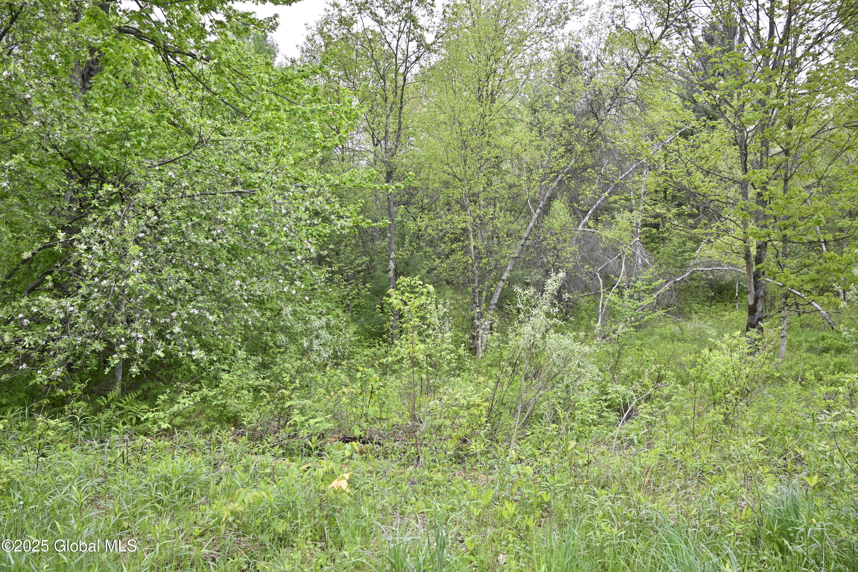 75 Mackin Road, Russell, New York image 21