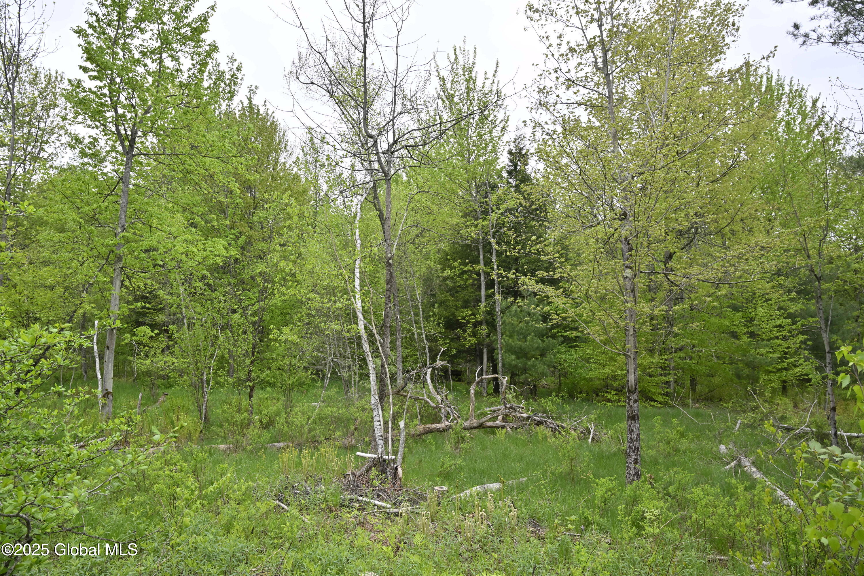 75 Mackin Road, Russell, New York image 10