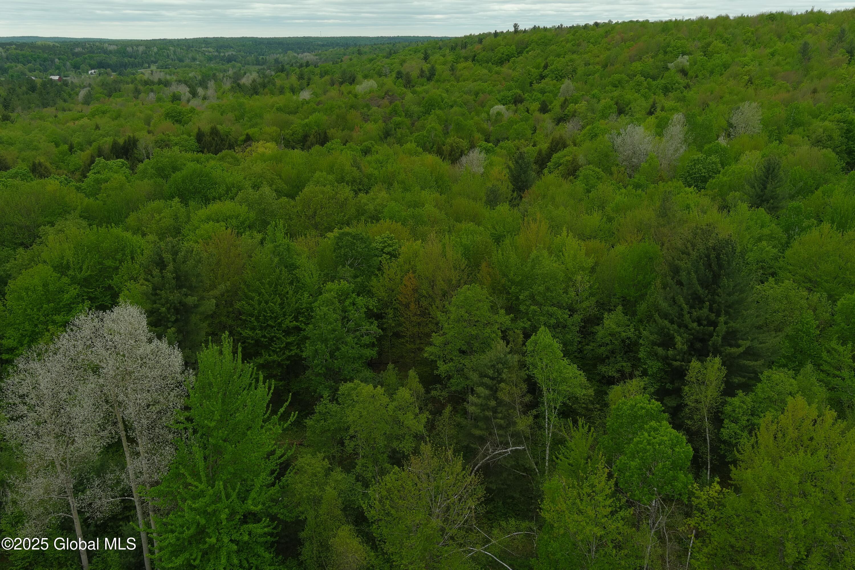 75 Mackin Road, Russell, New York image 40