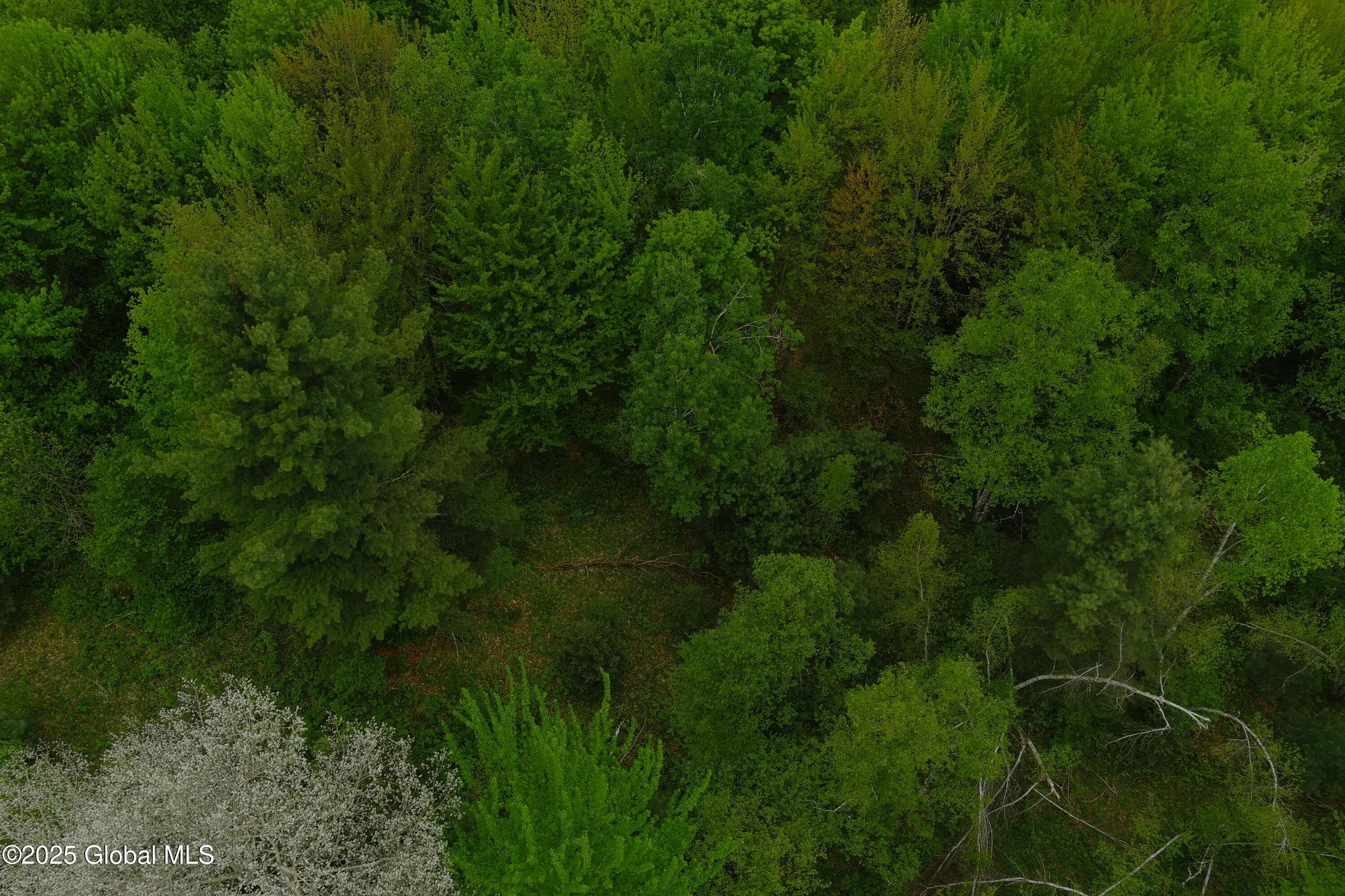 75 Mackin Road, Russell, New York image 33