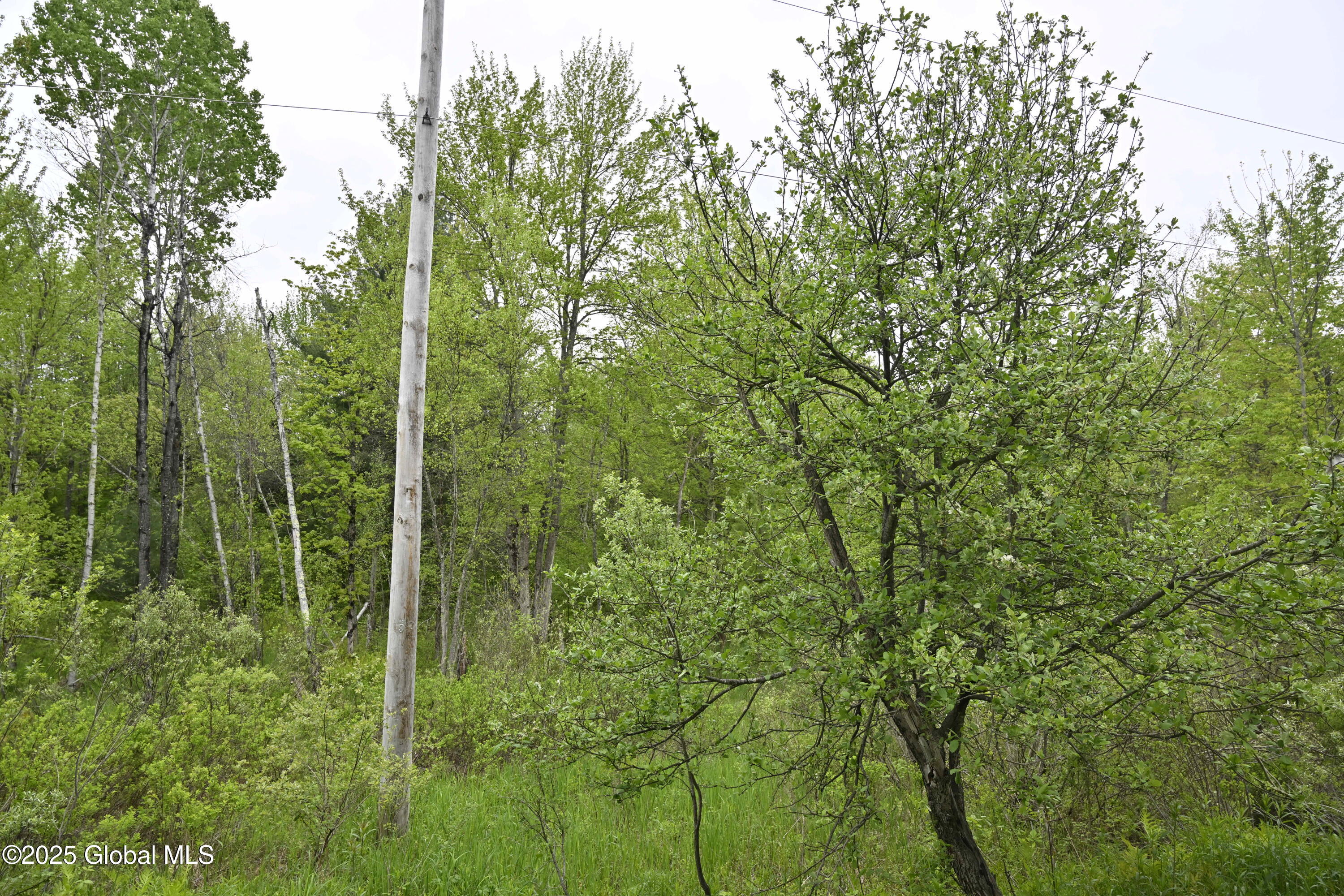 75 Mackin Road, Russell, New York image 15