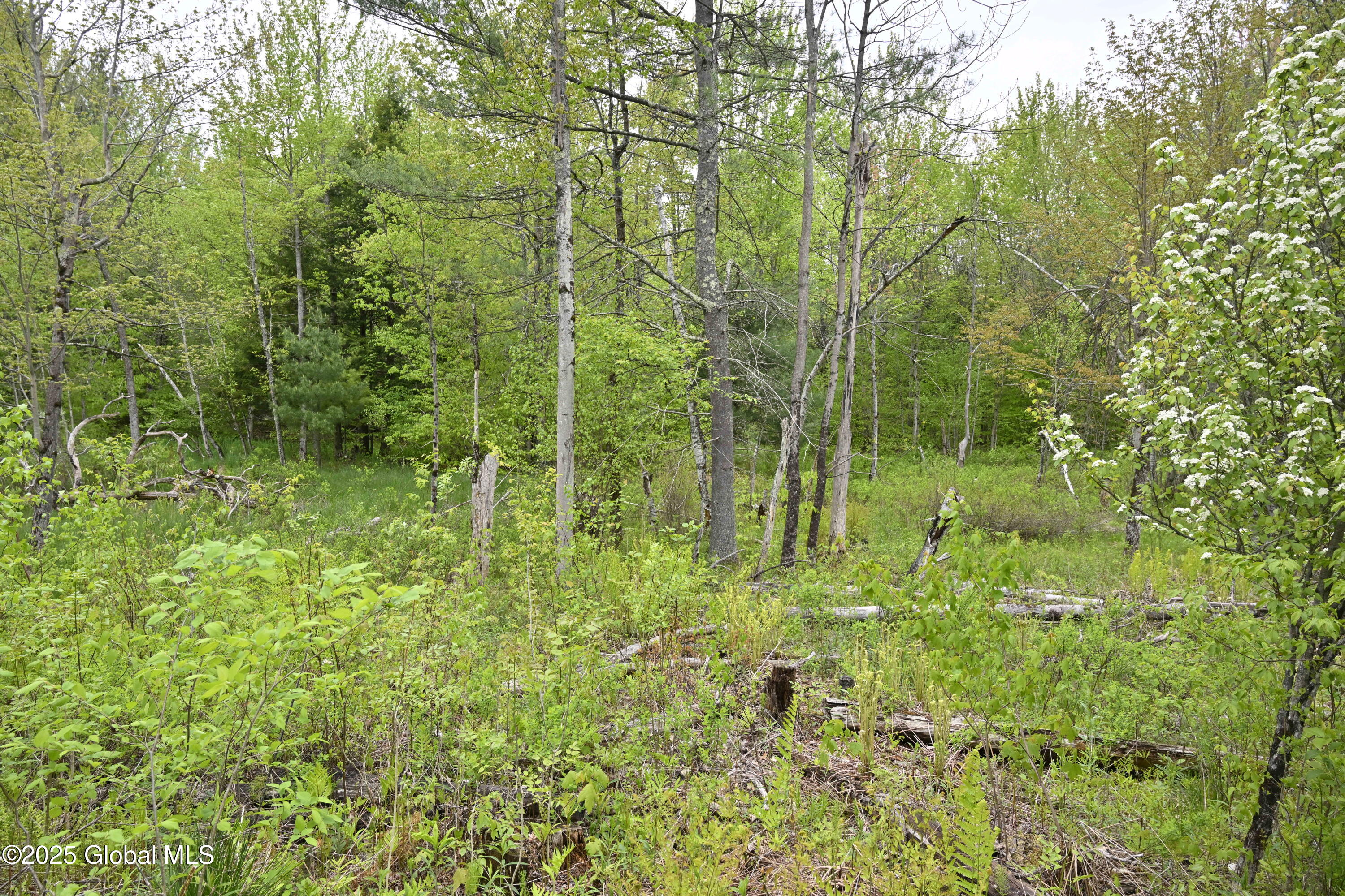 75 Mackin Road, Russell, New York image 9