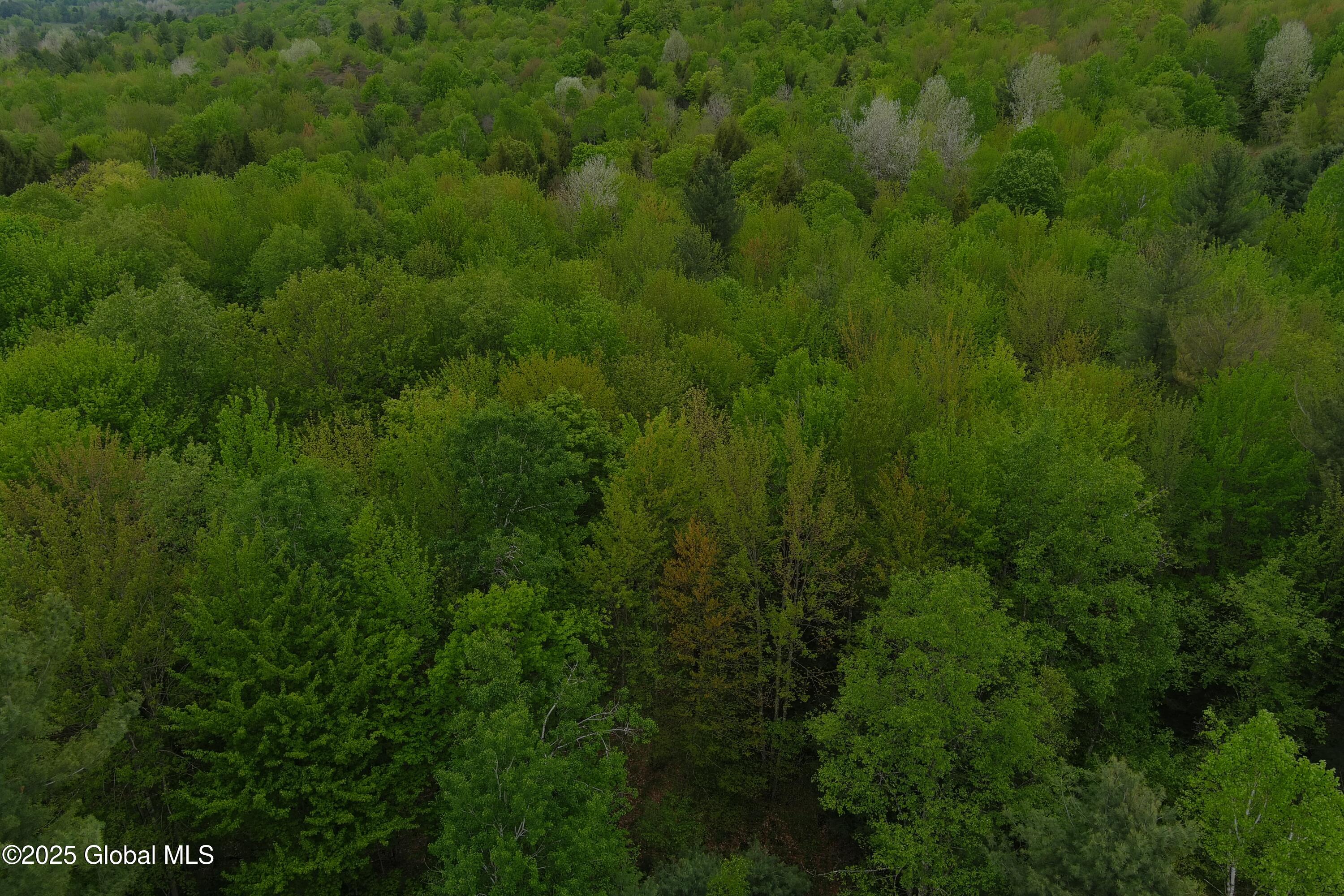 75 Mackin Road, Russell, New York image 34