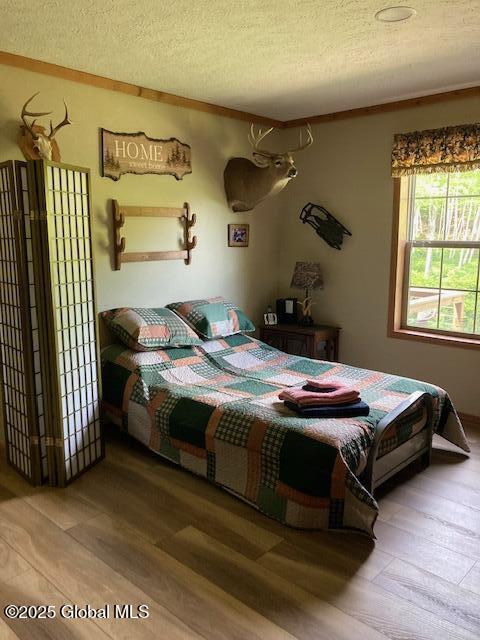 841 Battle Hill Road, Hague, New York image 13