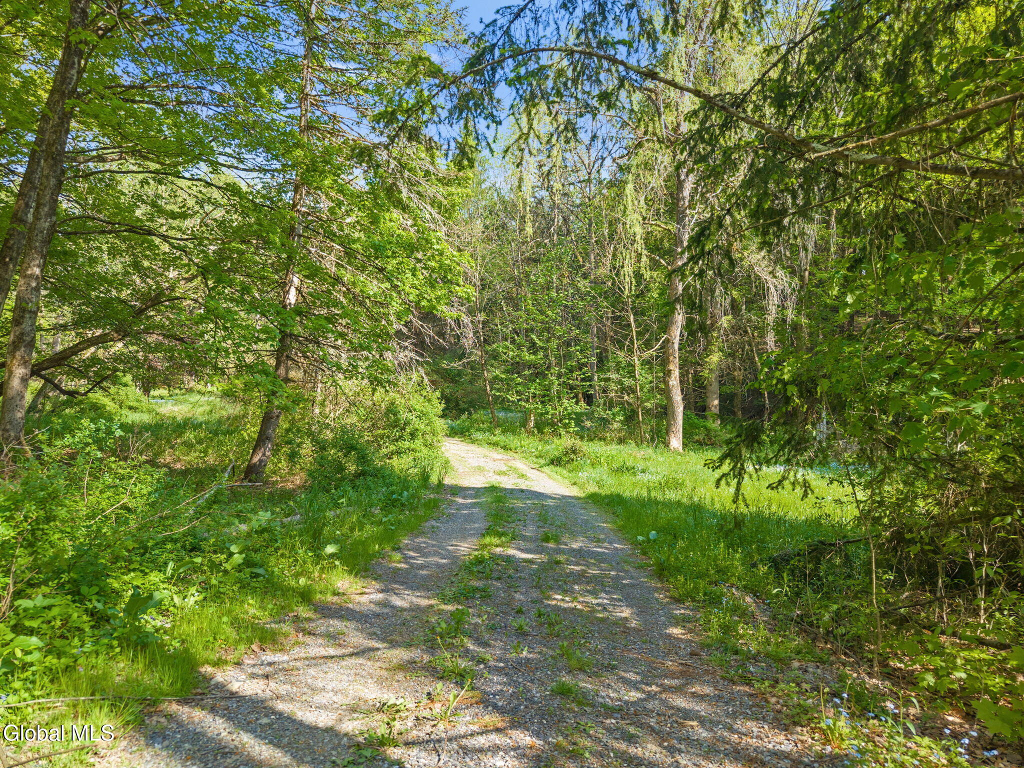 64 Mattison Hollow Road