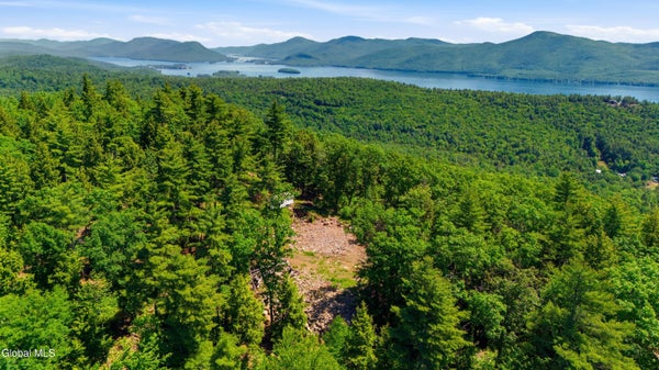 422 DICKINSON HILL RD, DIAMOND POINT, NY 12824 - Image 4350ca6eabc29c70063bbc19d576ba07/3966153181