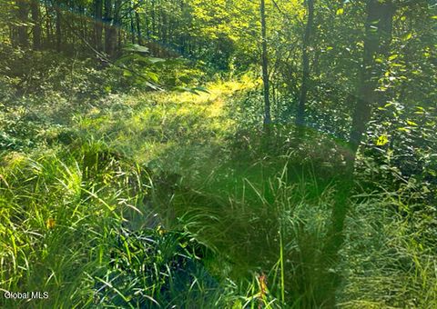 Vacant Land For Sale - L12.3 Humphrey Road<br/> Fultonville, NY 12072