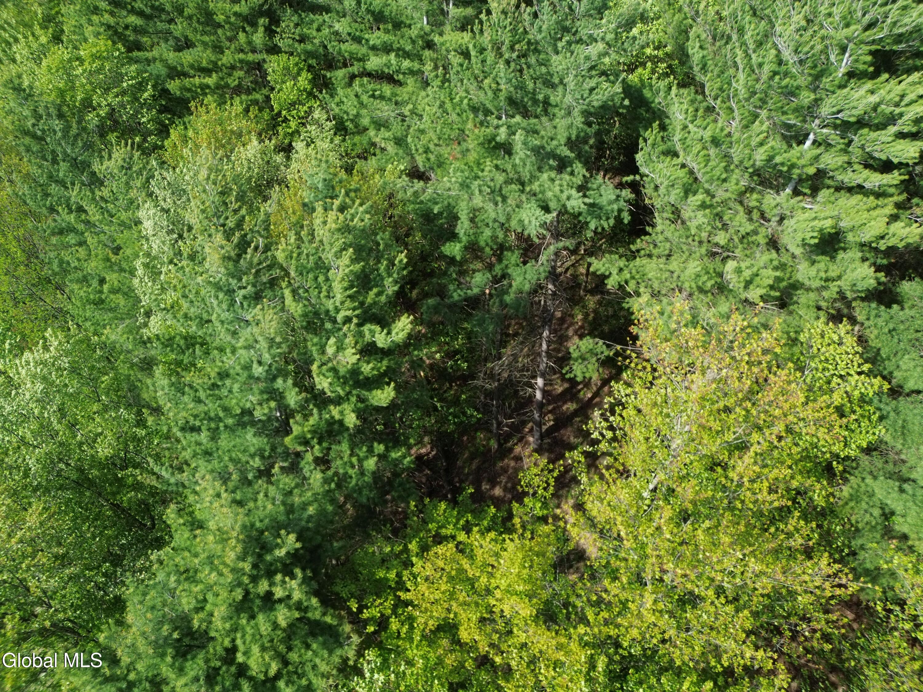 264 Conley Road