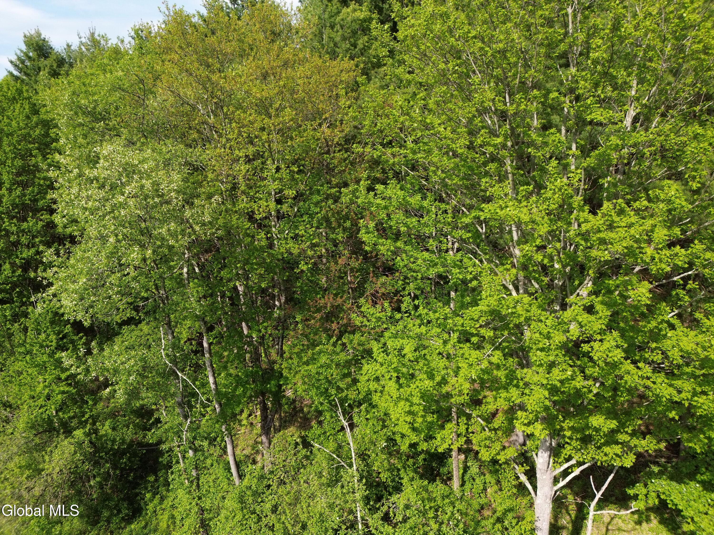264 Conley Road