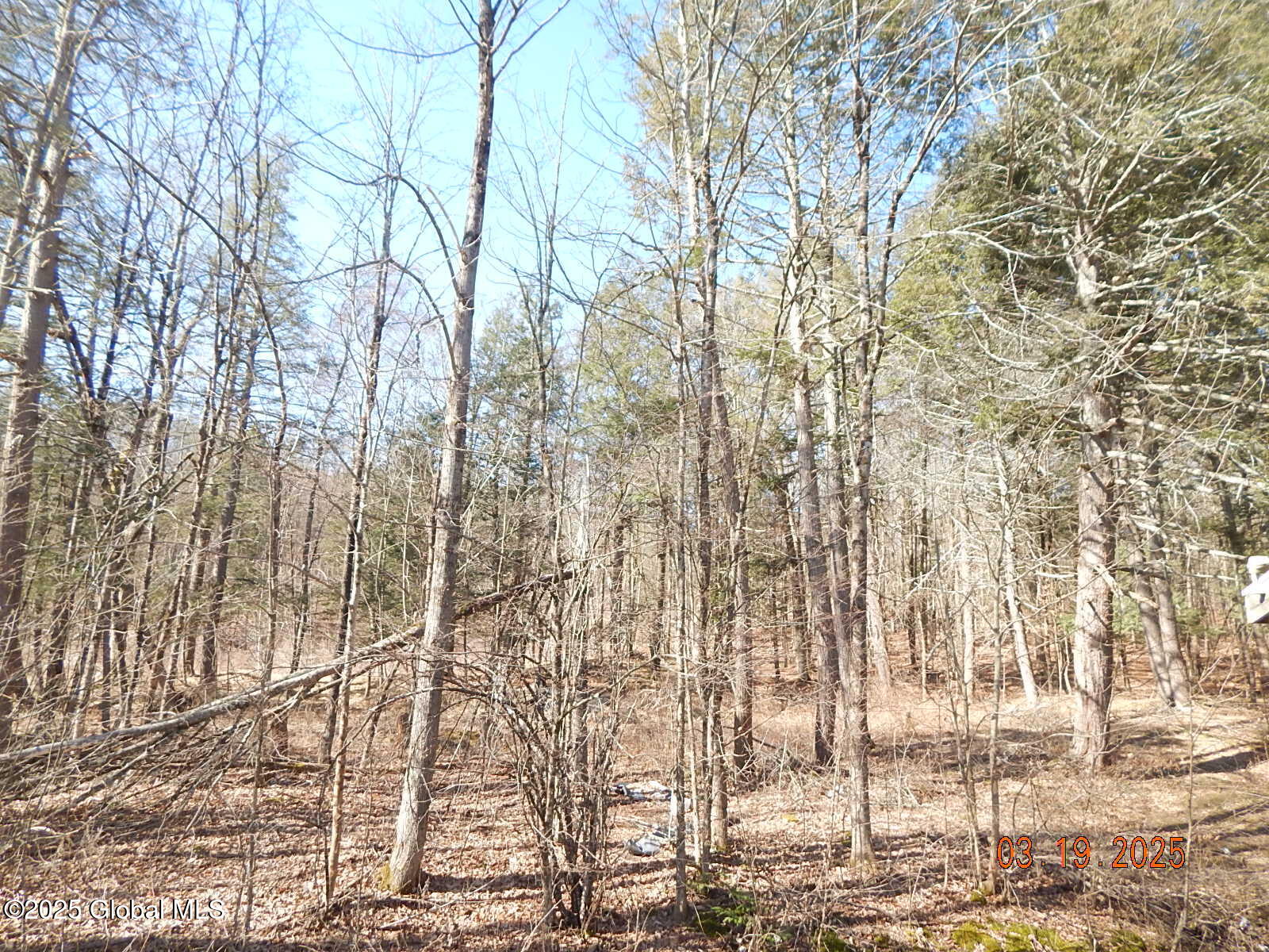 134 Staco Road, Hannacroix, New York image 20