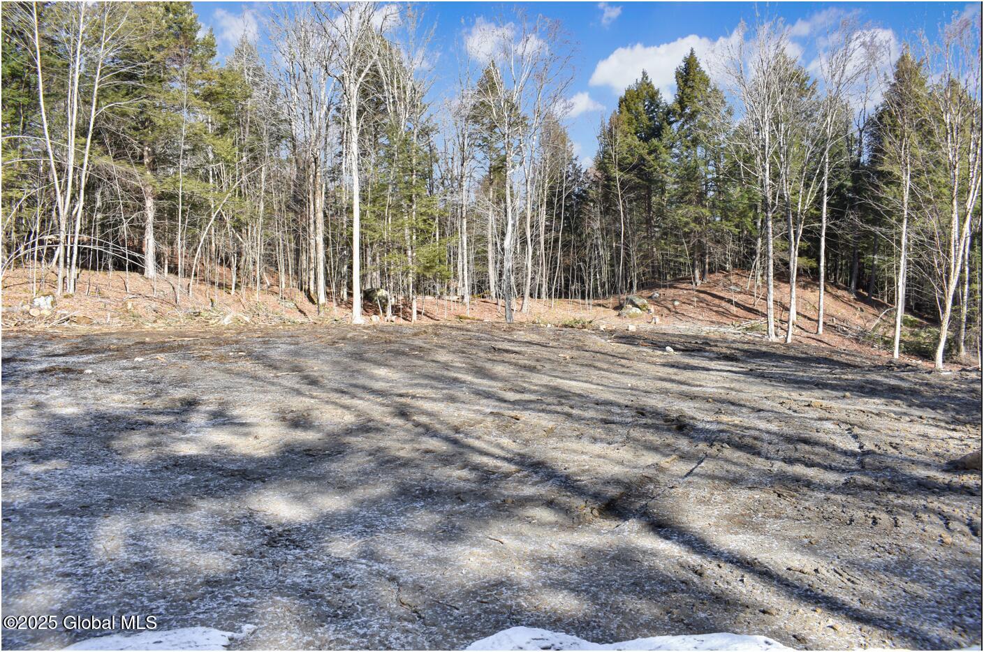 64 Carriage Knolls Road, Chestertown, New York image 5